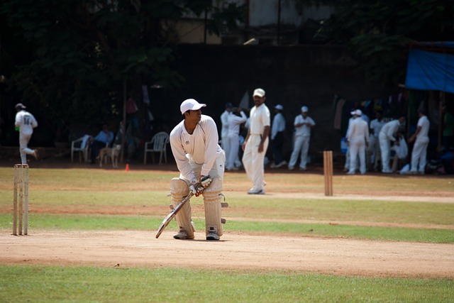 Analyzing the Impact of IPL on Cricket Ground Security Measures